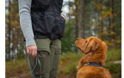 Non Stop Dogwear Dog Training Vest