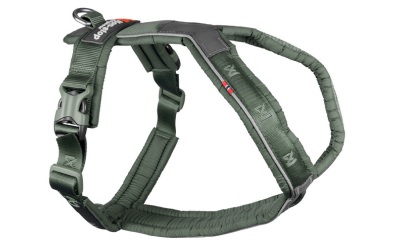 Non Stop Dogwear Line Harness 5.0 grün