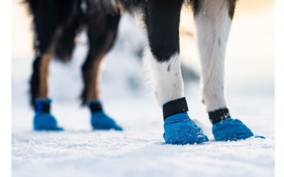 Non Stop Dogwear Long Distance Booties, blue