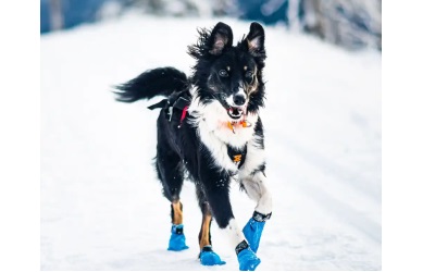 Non Stop Dogwear Long Distance Booties, blue