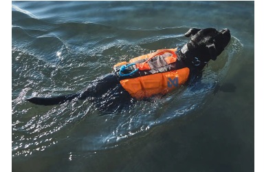 Non Stop Dogwear Protector Life Jacket, black/orange