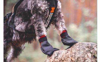 Non Stop Dogwear Solid Socks Stabiler Pfotenschutz