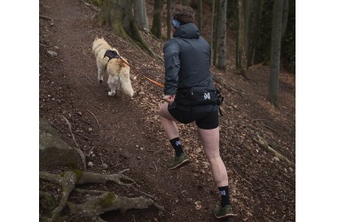 Non Stop Dogwear Trail Light Belt