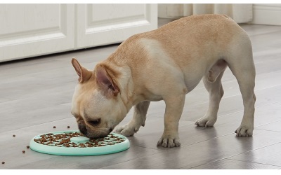 Outward Hound Fun Feeder Slo Tray Mint