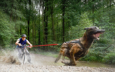 Mit angenehmen Fleece-Futter, 2 Front-Reißverschlusstaschen