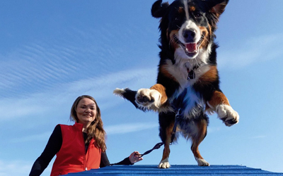 Ideal für Hundesport und Freizeit