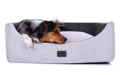 mypado Alma Trend Hundebett, silber-anthrazit