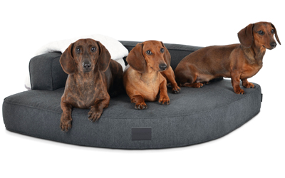 mypado Esquina Luxury Hundebett, anthrazit