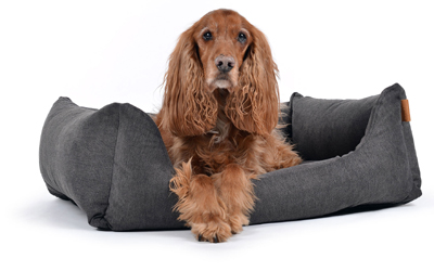 mypado World Comfort Hundebett, grau