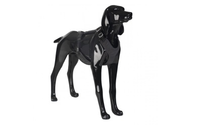 Paikka Hundegeschirr reflektierend Visibility Harness dark