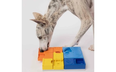 Pawzler Interactive Dog Toy Rainbow Set Mini