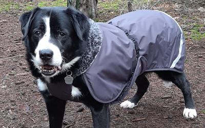 MIT Geschirröffnung Perus Pomppa Graphite Hundemantel