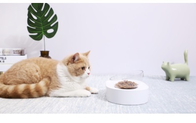 Petkit Futternapf 