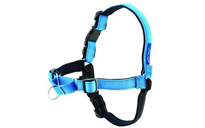 Petsafe Easy Walk Deluxe Hundegeschirr und Leine, türkis blau