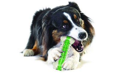 Extra robustes Hundespielzeug aus der Petstages Kollektion
