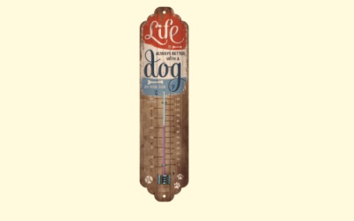 PfotenSchild Thermometer Life is better with a dog