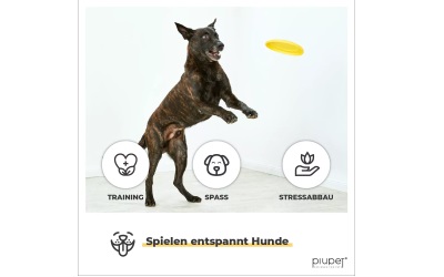 PiuPet Frisbee-Set RICKI