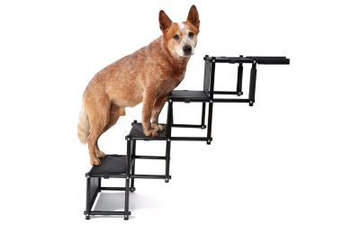 PiuPet Hundetreppe TONI