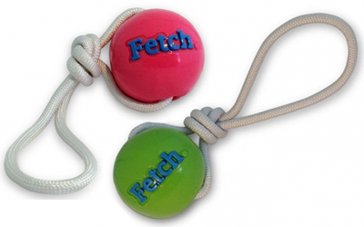 Planet Dog Orbee-Tuff Fetch Ball with Rope