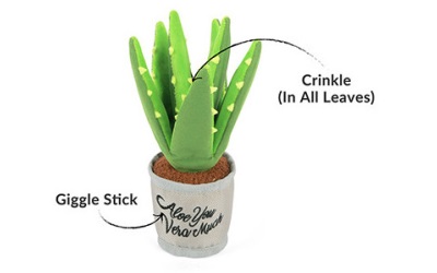 P.L.A.Y. Pet Lifestyle and You Blooming Aloe Vera