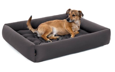 Pointer Hundebett anthrazit
