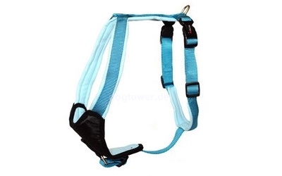 Professional Comfort Hundegeschirr, aqua/azur