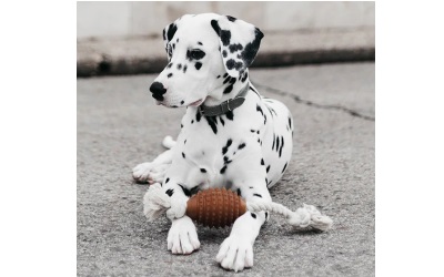 Retorn Rub Rugby Spike & Rope