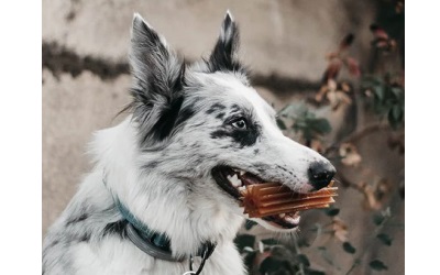 Retorn Rub Teether Clean