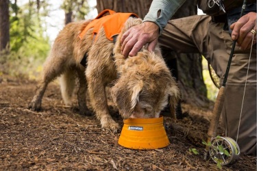 Ruffwear Bivy Bowl Salamander Orange