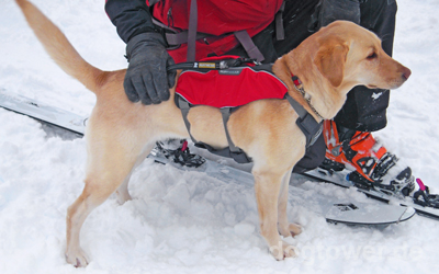 Extra Polsterung für die Nutzung des Ruffwear Rucksack