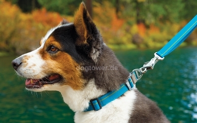 Ruffwear Hundehalsband CragCollar, obsidian black