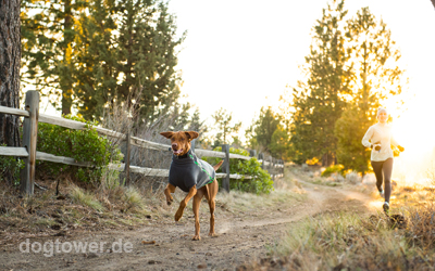 Ruffwear Hundebekleidung, ideale Kälteisolierung