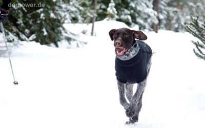 Ruffwear Wintermantel für Hunde