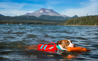 Auch für Dauerschwimmer ideal geeignet
