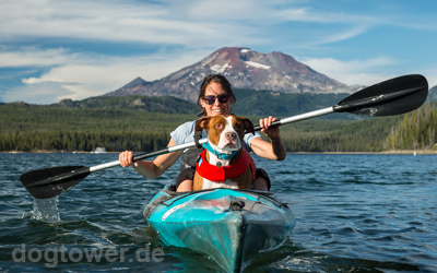 Ruffwear Kollektion Sommer-Hundebekleidung