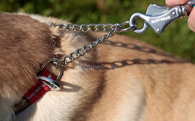 Details Hundehalsband Chain Reaction (rot)