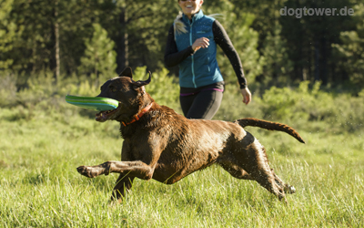 Ideales Ruffwear Halsband für den Alltag