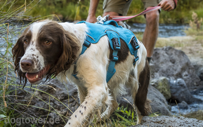 Ruffwear Geschirr für den Alltag und Outdoor