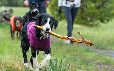 Ruffwear Kollektion in purple