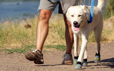 Robuste Hundeschuhe mit Klettverschluß