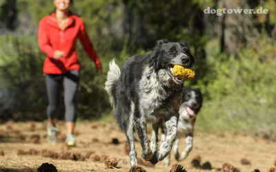 Ruffwear Spielzeug, geeignet für indoor und outdoor