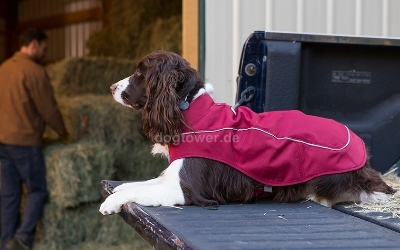 Ruffwear K9-Overcoat Utility Jacket, Cinder Cone Red