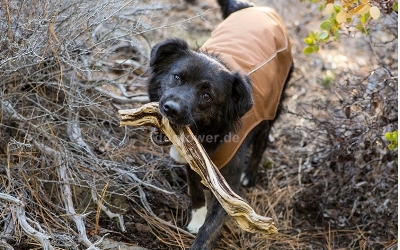 Ruffwear K9-Overcoat Utility Jacket, Trailhead Brown