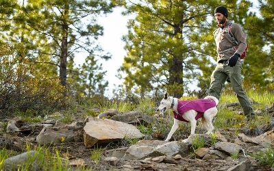 Ruffwear K9-Overcoat Utility Jacket, Lakespur Purple