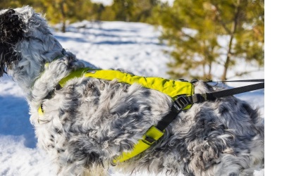 Ruffwear Omnijore Joring System Lichen Green