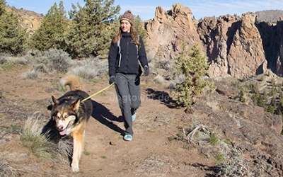Für den Hundesport oder täglichen Spaziergang