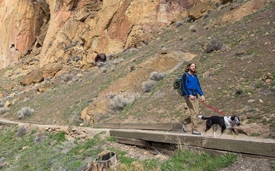 Besonders gut geeignet für zugstarke Hunde