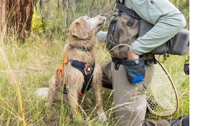 Ruffwear Treat Trader Bag Blue Pool