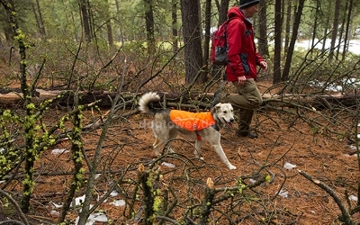 Ruffwear Track Jacket