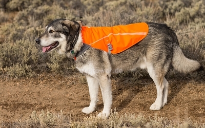 Ruffwear Track Jacket